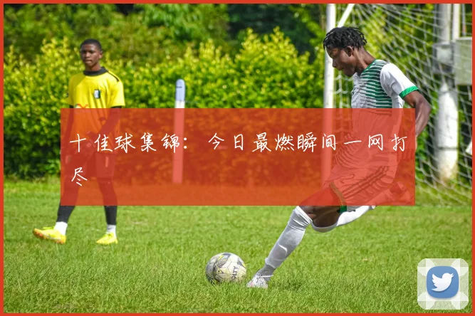 十佳球集锦:今日最燃瞬间一网打尽