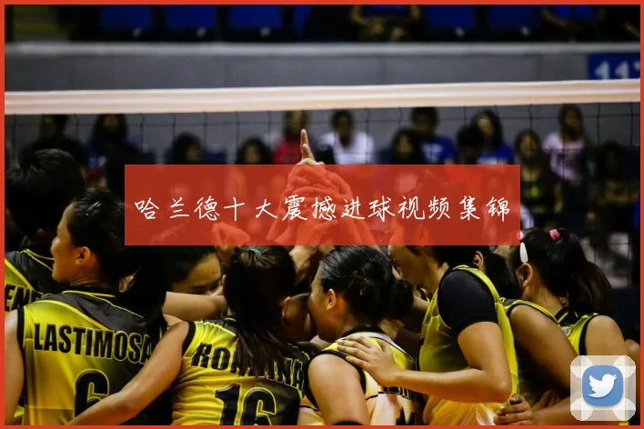 哈兰德十大震撼进球视频集锦