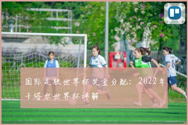 国际足联世界杯奖金分配：2022年卡塔尔世界杯详解